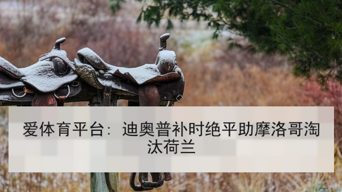 爱体育平台: 迪奥普补时绝平助摩洛哥淘汰荷兰