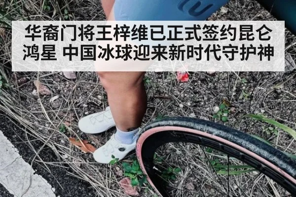 华裔门将王梓维已正式签约昆仑鸿星 中国冰球迎来新时代守护神